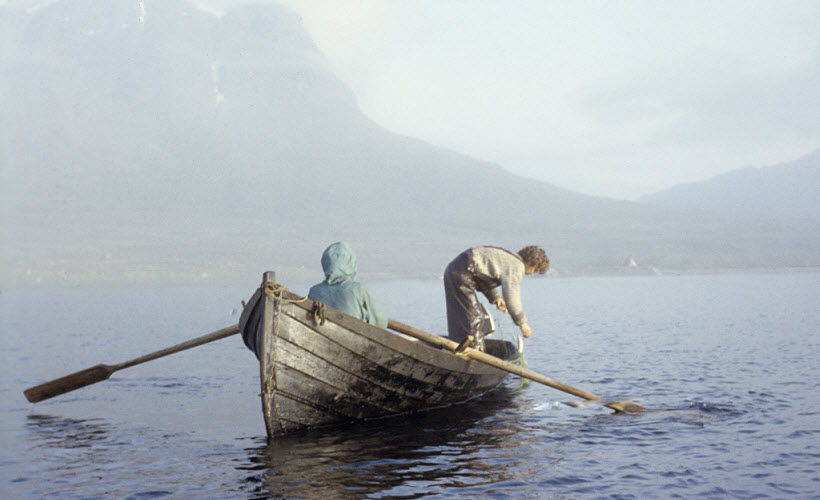 Pretium consequat justo orci Aliquam Curabitur